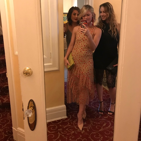 Zara Sheer Slip Dress (and Cover Up) - Picture 4 of 4